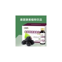百未草桑葚酵素植物饮品贴牌代加工生产厂家