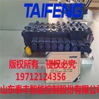 泰丰智能供应负载敏感性TRM系列多路换向阀