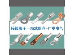 JG铜鼻子 管压鼻JG-10平方到630平方 表面镀锡铜接线端子图1