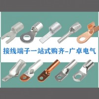 JG70-10接线端子 镀锡 铜线耳 船用线耳 铜鼻子 电线连接头