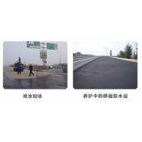 JBS环保型桥梁防水涂料