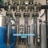 蒸汽过滤器 气体过滤器 不锈钢除菌过滤器 卫生级过滤器